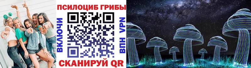 блэк спрут ссылка  Сим  Псилоцибиновые грибы GOLDEN TEACHER 